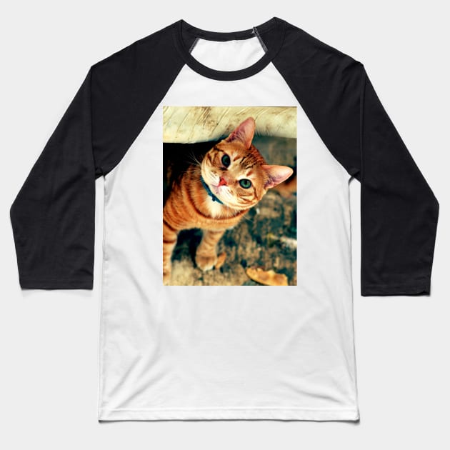 male cat Baseball T-Shirt by lisenok